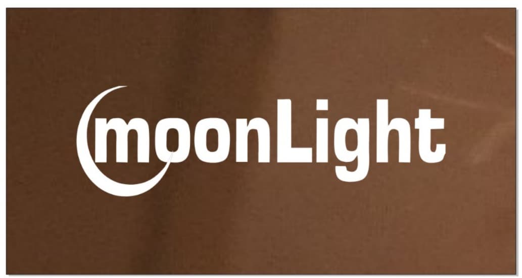 Moonlight Salon logo